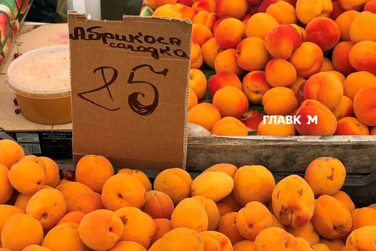 Продуктові ярмарки у Києві з 4 по 9 серпня: повний список адрес