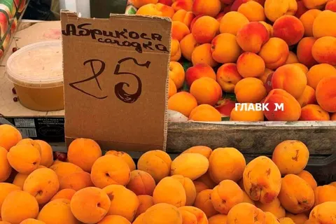 Продуктові ярмарки у Києві з 4 по 9 серпня: повний список адрес