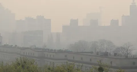 У Києві зросла концентрація озону: мешканцям радять зачинити вікна