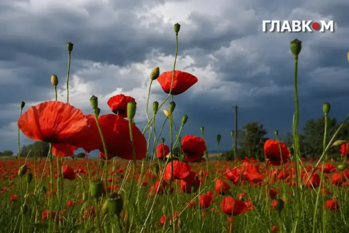 Штормове попередження у Києві та області: гроза 4 серпня