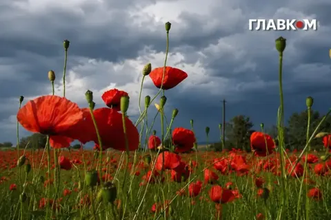 Штормове попередження у Києві та області: гроза 4 серпня
