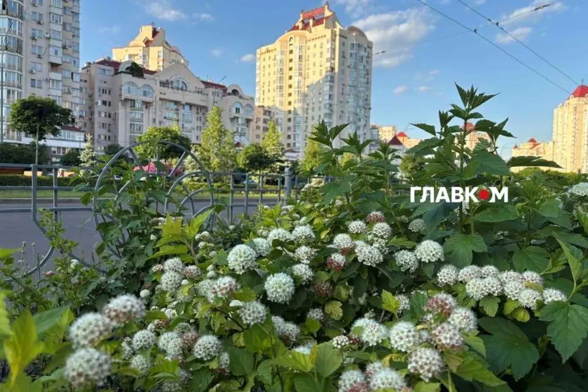 Літо-2026 у Києві: чотири рекорди та спека до +39°С