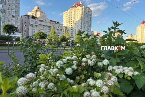 Літо-2026 у Києві: чотири рекорди та спека до +39°С