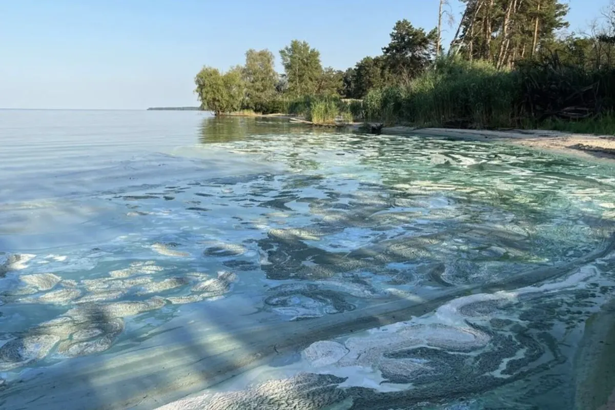 Цвітіння водойм в Україні: екологиня пояснила, що винні добрива з полів