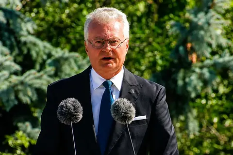 Президент Литви привітав українців із Днем прапора рідною мовою
