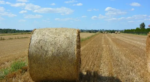 11 серпня в Україні: мінлива хмарність, подекуди грози