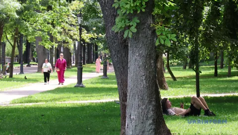 П'ятниця в Україні: переважно сухо, вдень до +27°