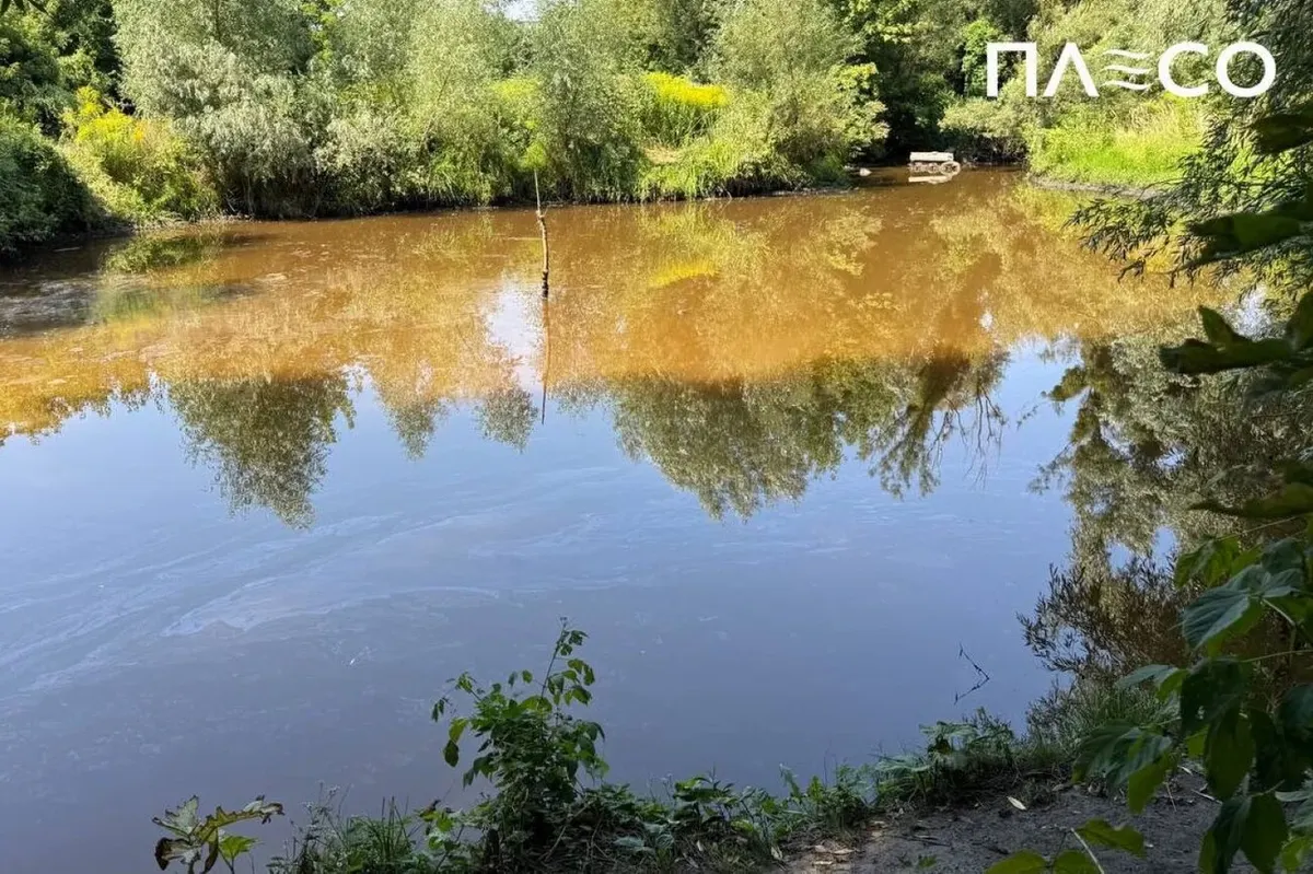 У Києві через атаку РФ забруднилася річка Борщагівка: що відомо