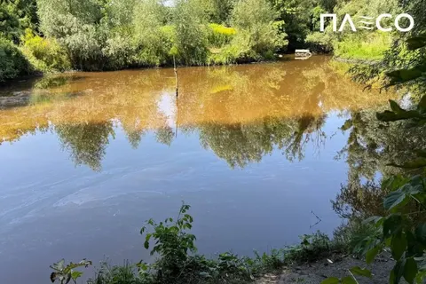 У Києві виявили забруднення річки Борщагівка після атаки