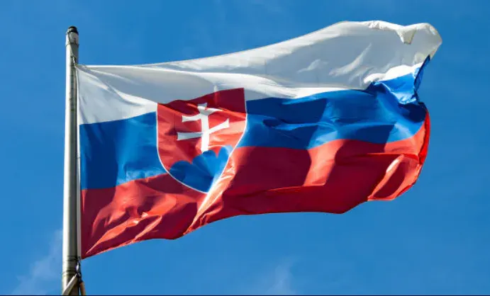 Словаччина викличе посла Росії через удар дрона біля свого консульства у Києві