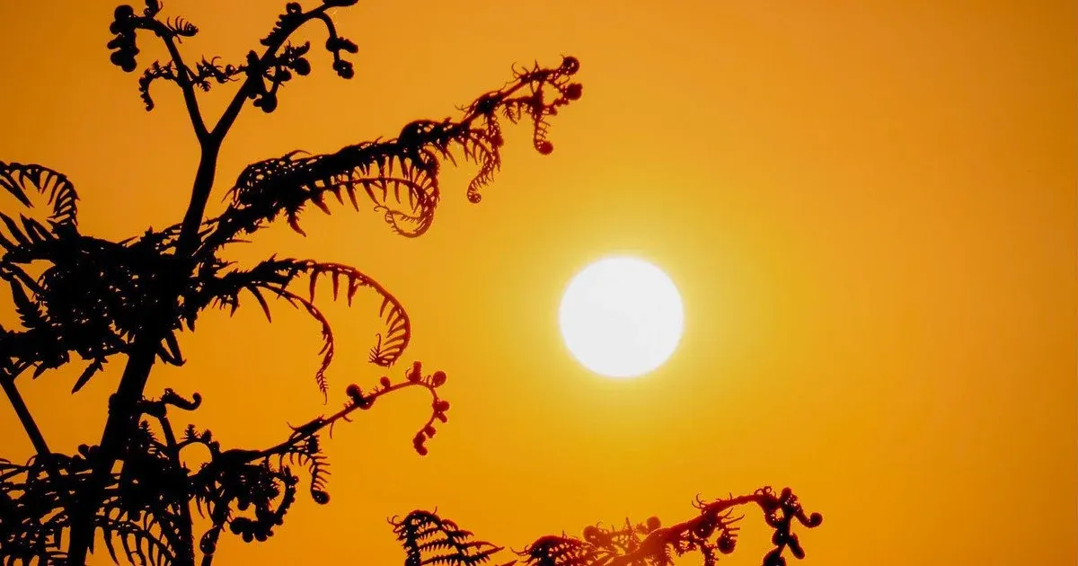 Спека до +35 °C накриє Україну з початку серпня
