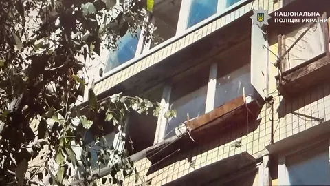 У Києві жінку підозрюють у вбивстві собаки, викинутої з балкона