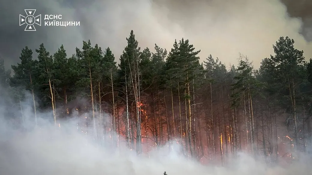 Масштабна лісова пожежа на Київщині: горить кілька кілометрів