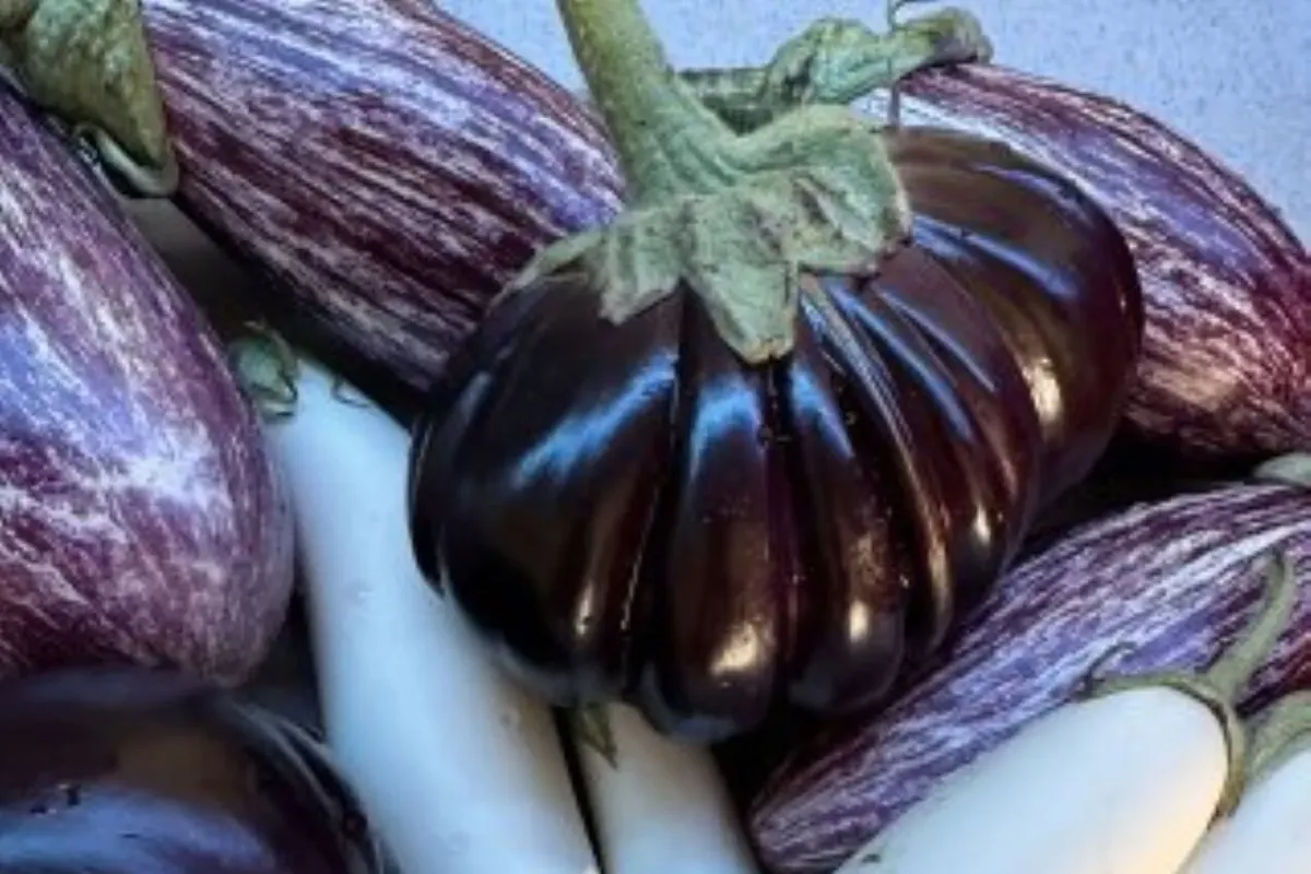Ярмарки вихідних: де в Києві 29-30 серпня купити продукти