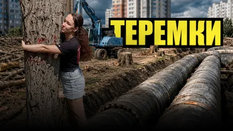 Вирубка парку на Теремках: кияни вимагають зупинити роботи