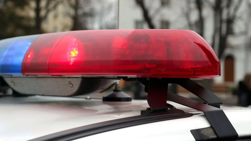 У Бучанському районі поліція розслідує побиття 11-річного хлопця через квітку з клумби