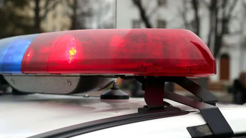 У Бучанському районі поліція розслідує побиття 11-річного хлопця через квітку з клумби
