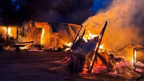 Пожежа у притулку "Сіріус" під Києвом: загинуло 8 собак