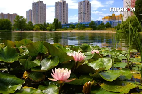 У Києві назвали пляжі, де поки не варто купатися