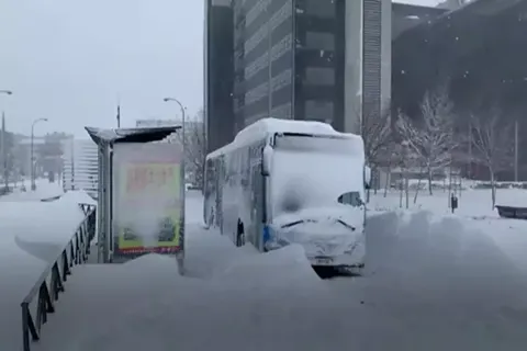 Синоптики розповіли, коли в Києві може випасти перший сніг