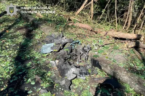 У Дніпровському районі Києва впав ворожий дрон — Кличко