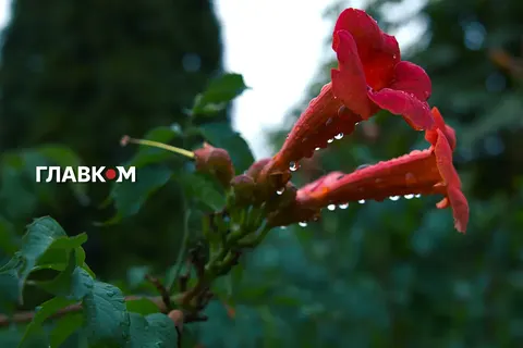 2 вересня в Україні: дощі на заході та в центрі, спека на півдні