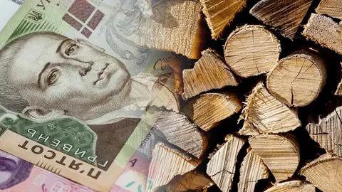 Дрова на Київщині подорожчали вдвічі: скільки коштує запас на зиму