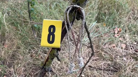 Напад на київського ді-джея: поліція затримала трьох підозрюваних