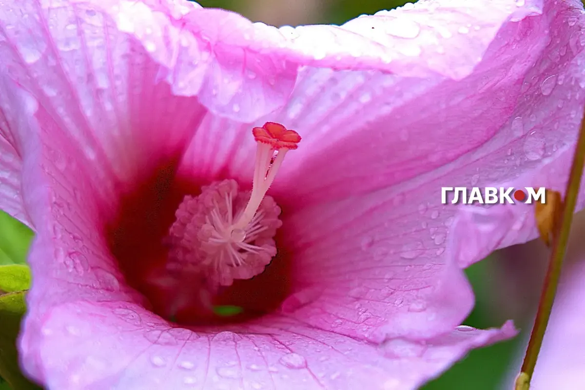 18 серпня в Україні: дощі, грози та спека до 33°