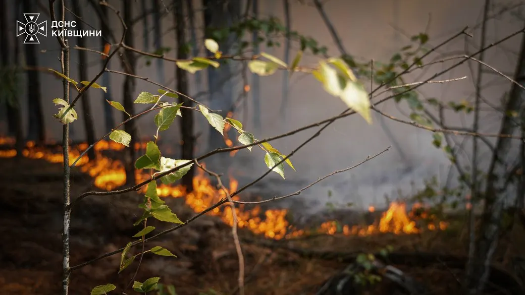 На Вишгородщині четверту добу гасять масштабну лісову пожежу