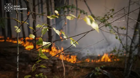 На Вишгородщині четверту добу гасять масштабну лісову пожежу