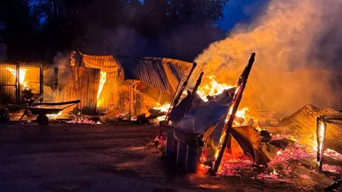 Пожежа у притулку «Сіріус»: загинули 8 собак, знищено 20 вольєрів
