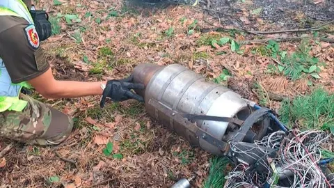 У Голосіївському районі після збиття БПЛА сталося займання трави та дерев