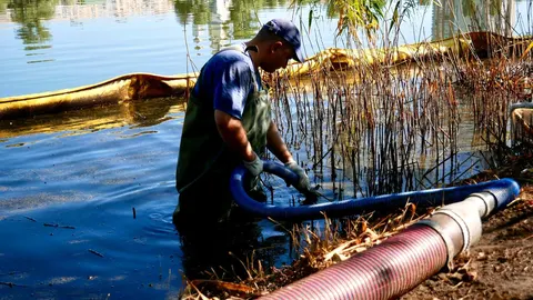 На озері Кирилівському вивезли 10 тонн нафтових відходів: що далі