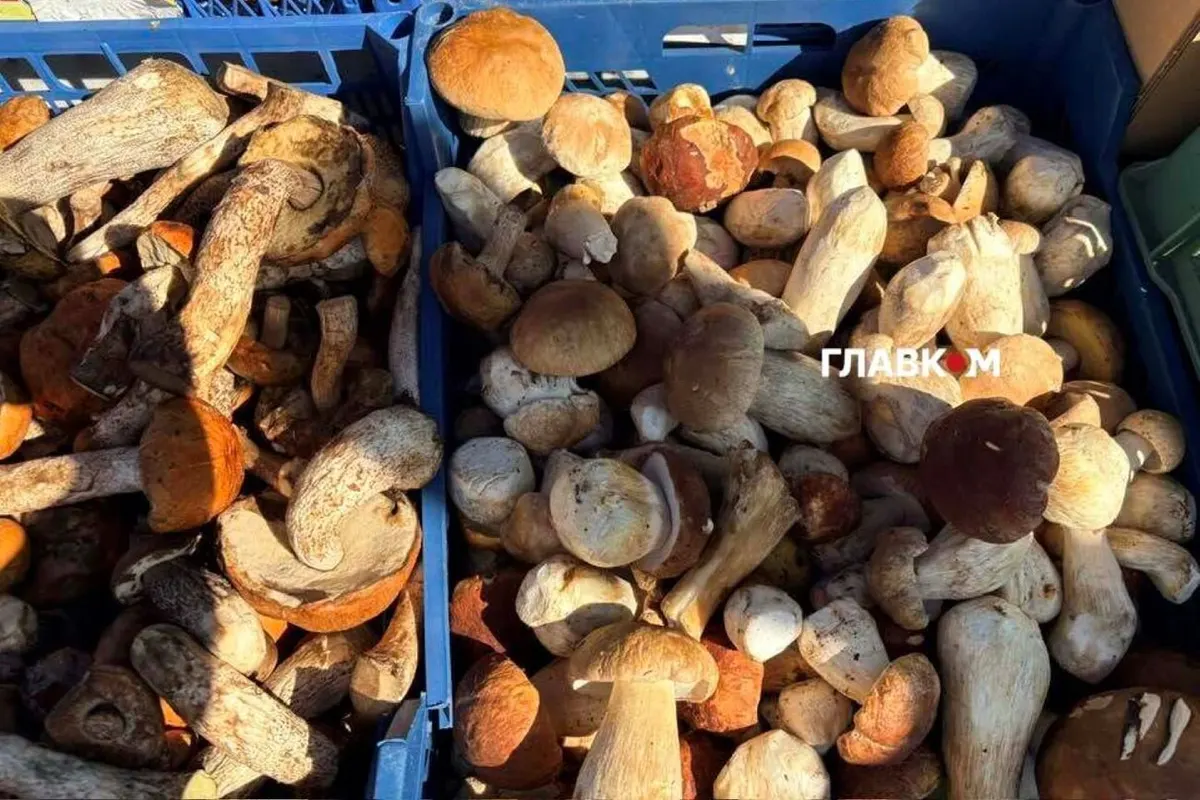 У Києві з 22 до 27 вересня працюватимуть сезонні продуктові ярмарки