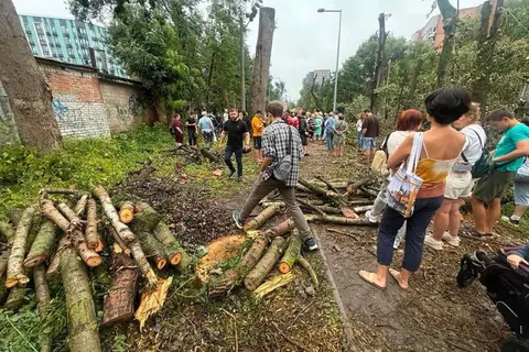 Вирубка дерев на Теремках: у КМДА пояснили, чому іншого шляху немає