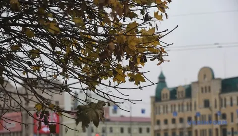 Хмарно та до +25°: прогноз погоди в Україні на 7 вересня