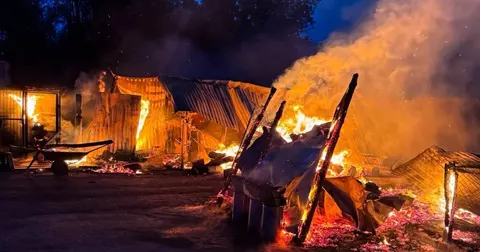 Під Києвом пожежа у притулку «Сіріус»: загинули 8 собак, знищено 20 вольєрів