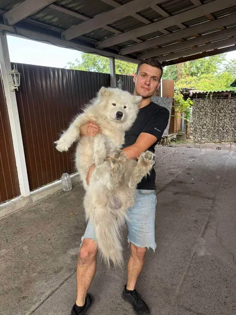 Пес зі Слов’янська, якого виганяли шваброю, тепер у Києві: йому шукають родину