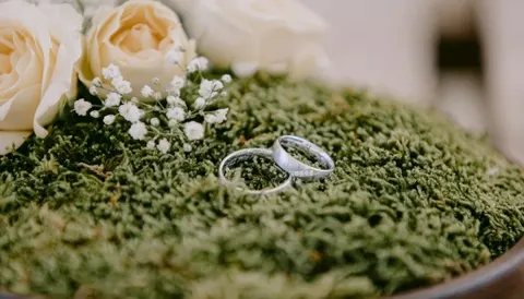 В Україні зросла кількість шлюбів: лідирують Київ, Дніпро та Львів