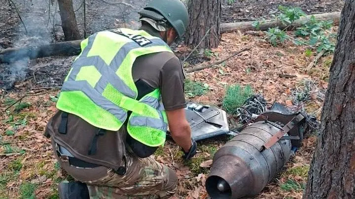 Киянам радять утриматися від прогулянок у лісі через загрозу уламків БпЛА