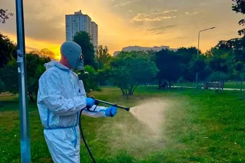 Повторна обробка від кліщів у парках Солом’янського району: графік та умови