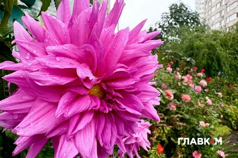 14 вересня в Україні похолодає: дощі на півдні та в центрі, у Києві без опадів