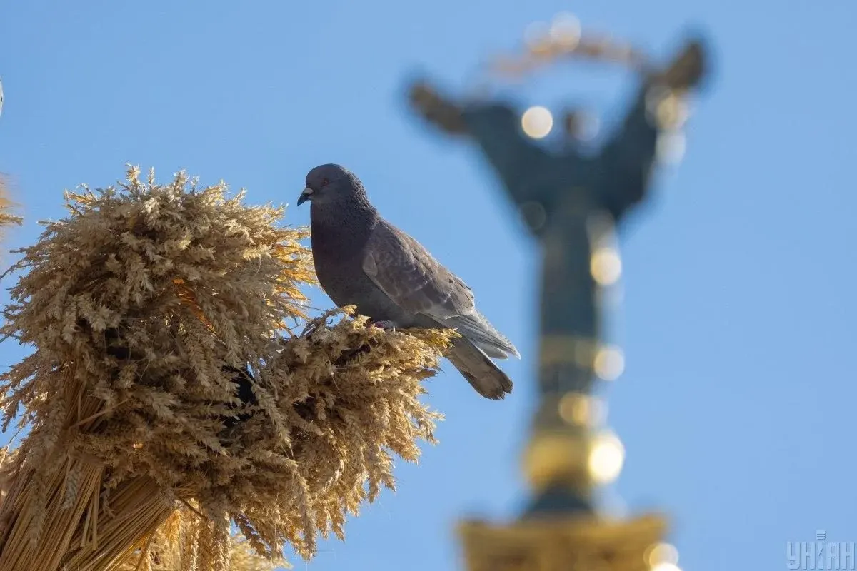 Останній свіжий день: у п'ятницю в Києві прохолодно, далі — спека