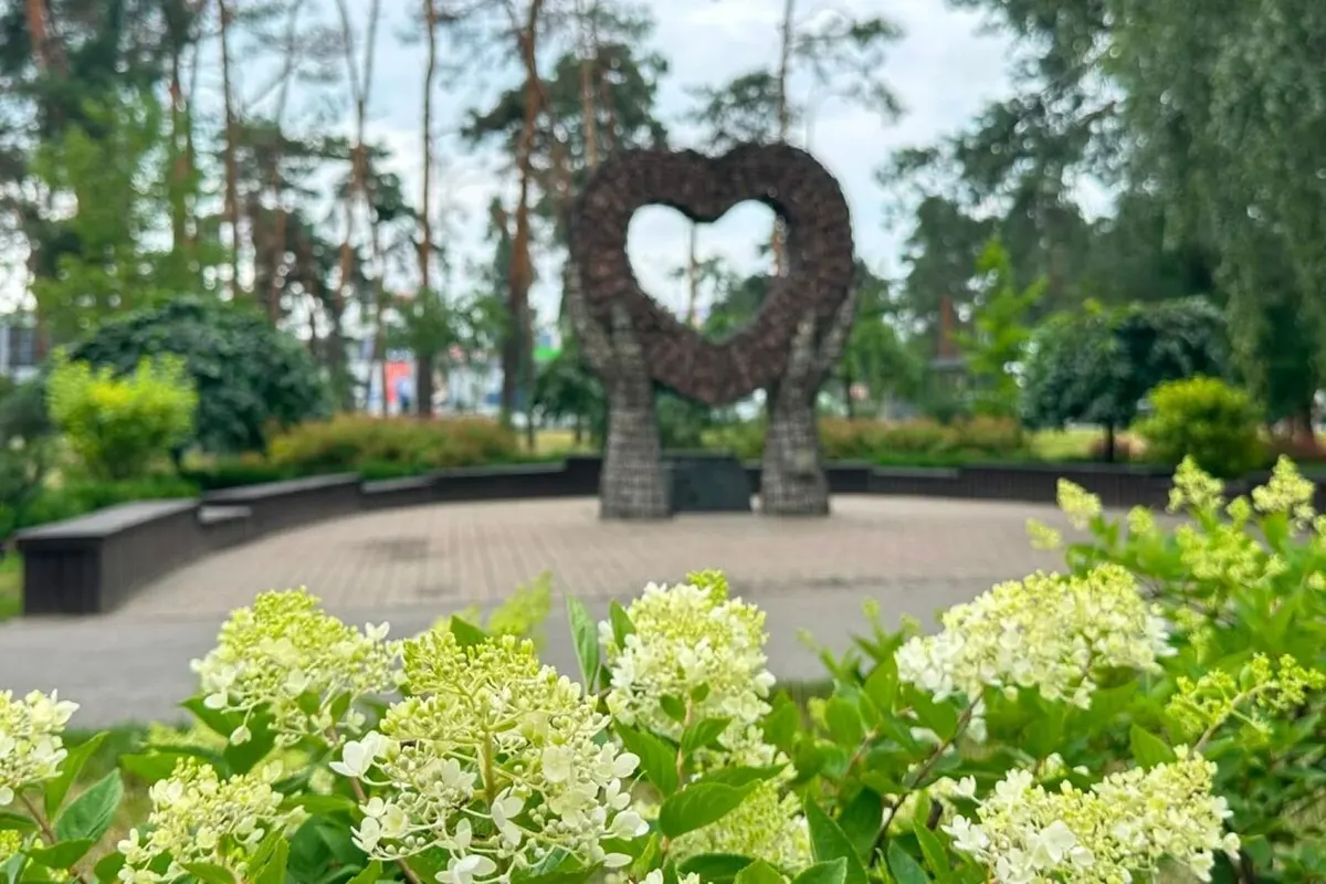 Понад 20 локацій: де в Києві помилуватися цвітінням гортензій