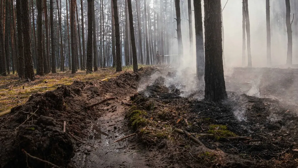На Київщині четверту добу гасять масштабну лісову пожежу: понад 200 рятувальників