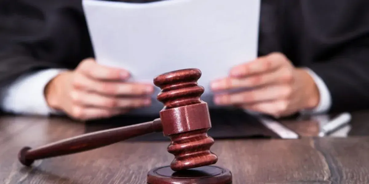Спадщина на 7 гектарів: прокуратура Києва вимагає конфіскувати землю у громадян росії