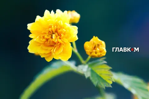 Спека до 37° та грози на заході: якою буде погода 22 серпня