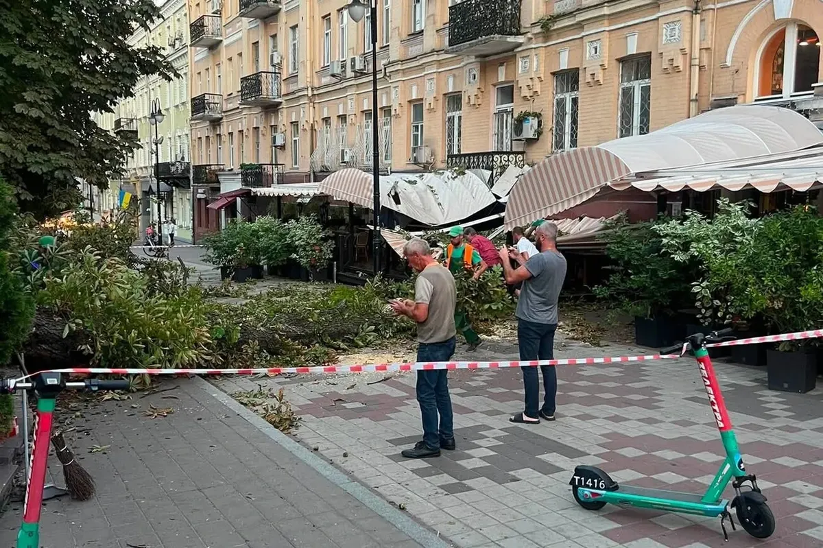 У центрі Києва на терасу ресторану впав каштан