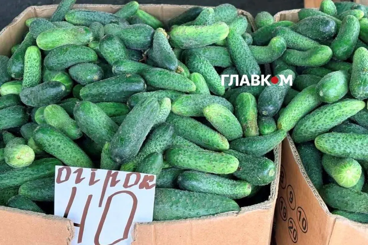 Продуктові ярмарки в Києві 19-20 вересня: адреси та поради